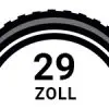 29 Zoll